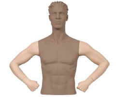 Male System Mannequin - Arms - Hands on Hips.  Please note that darkened areas are not included.