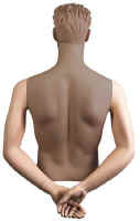 Male System Mannequin - Arms - Behind Back.  Please note that darkened areas are not included.
