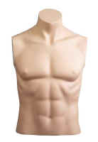 Male System Mannequin Bust Without Head