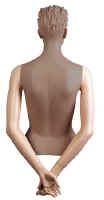 Female System Mannequin Arms - Behind Back.  Please note that darkened areas are Not Included.