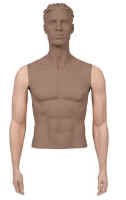 Male System Mannequin Arms - By Side.   Please note that darkened areas are not included.